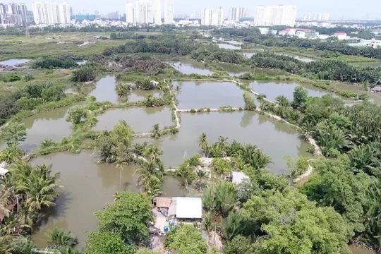 TP HCM loại 33 khu đất khỏi danh mục thí điểm nhà ở thương mại