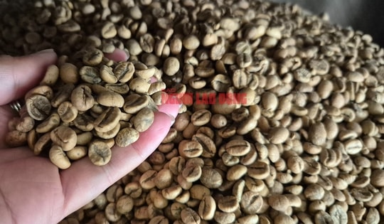 Giá cà phê ngày 10-4: Robusta và Arabica cùng giảm