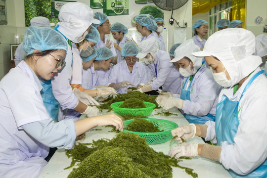 Cần cơ chế hợp đồng dài hạn giữa doanh nghiệp, hợp tác xã và người dân