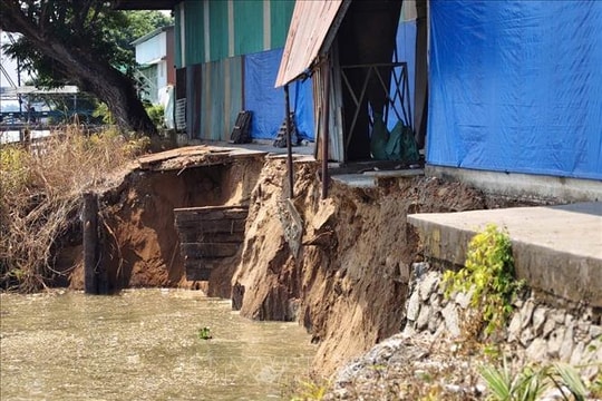 Khẩn trương khắc phục sạt lở dài 50 m bên bờ sông Hậu