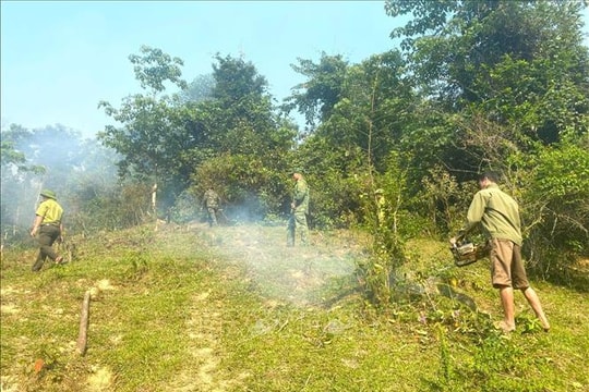 Nắng nóng gay gắt, liên tiếp xảy ra cháy rừng ở Nghệ An