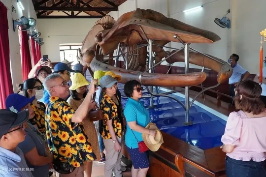 Bộ xương cá voi lớn nhất Đông Nam Á ở tỉnh nào?