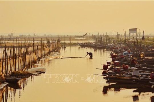 Những mảnh đời trên mặt phá Tam Giang - Bài 1