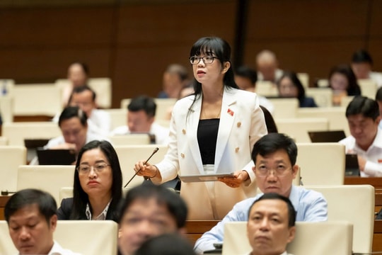 Luật Thủ đô sửa đổi: Cần cơ chế đủ mạnh để phát triển hệ thống trường công