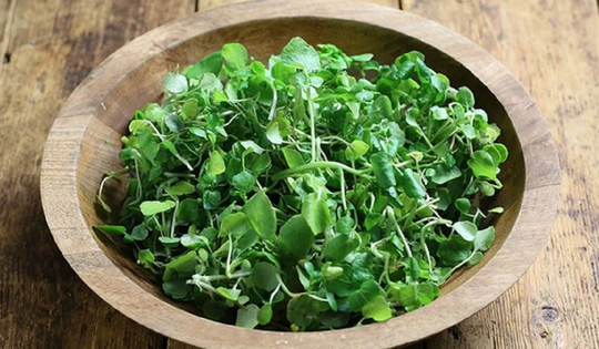 Loại rau nhiều người Việt "né" nhưng Mỹ ca ngợi thuộc top tốt "bậc nhất thế giới"