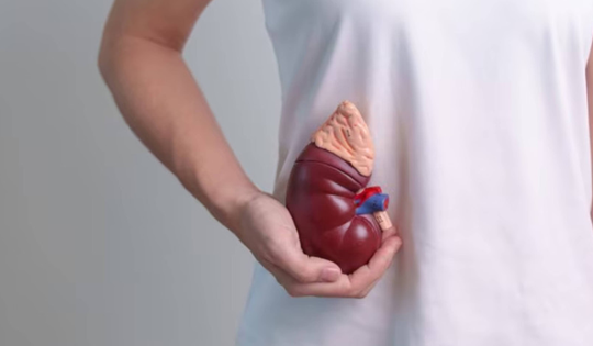 6 thói quen “cực hại thận”, nhiều người làm mỗi ngày mà không biết