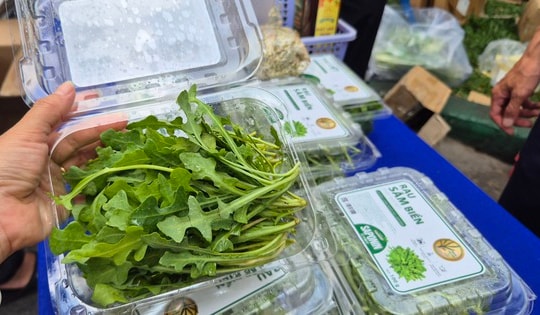 Bất ngờ về loại rau 350.000 đồng/kg vẫn được người ở TPHCM xem là “rẻ”