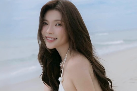 Thúy Diễm nói về vai diễn bị phản ứng của Lương Thế Thành