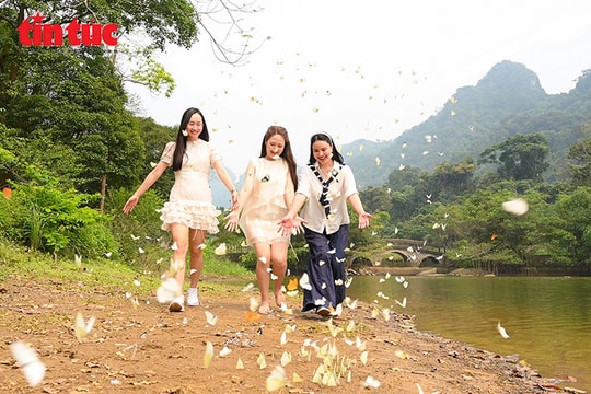 Mùa bướm rực rỡ ở Cúc Phương hút khách trải nghiệm thiên nhiên nguyên sơ