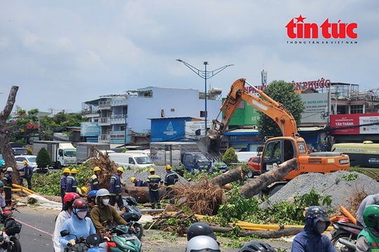 TP Hồ Chí Minh: Đốn hạ nhiều cây xanh phục vụ thi công nhà ga ngầm tuyến metro số 2