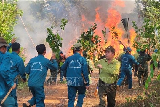 46 phường, xã nguy cơ cháy rừng cấp V, Đồng Nai khẩn trương ứng phó
