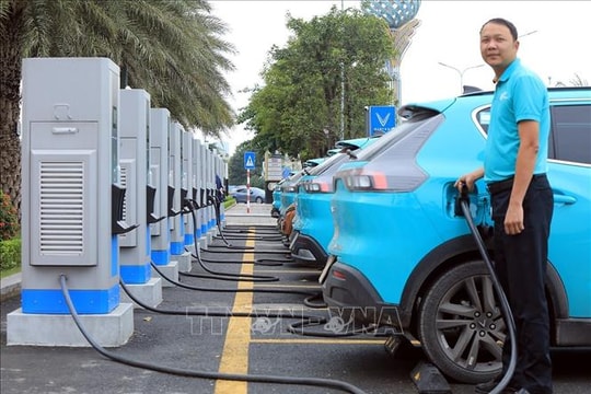 Doanh số ô tô Việt Nam tăng gấp đôi, xe điện và hybrid bứt phá