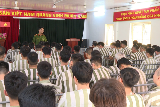 Hướng dẫn đặc xá năm 2026