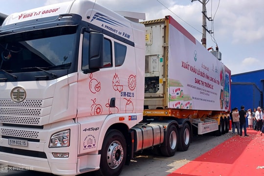 Lô bưởi da xanh đầu tiên xuất chính ngạch sang Australia