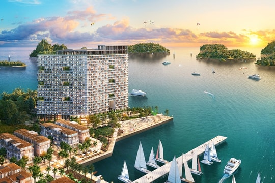 Hạ tầng, du lịch tăng sức hút cho căn hộ lưu trú tại Cát Bà