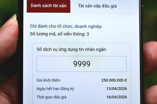Đấu giá quyền sử dụng mã, số viễn thông, khởi điểm 250 triệu đồng