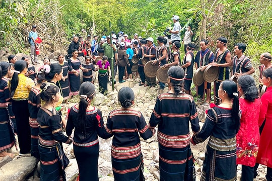 Lễ tạ ơn 'thần rừng' của người Jarai