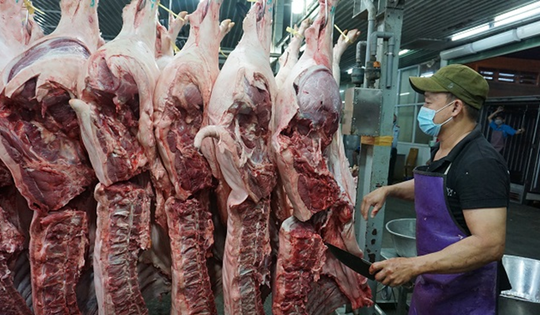 Tp.HCM: Tăng cường kiểm dịch, kiểm soát giết mổ động vật