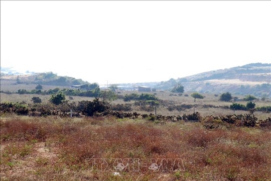 Ráo riết với mục tiêu đưa nhà máy điện hạt nhân đầu tiên đi vào hoạt động