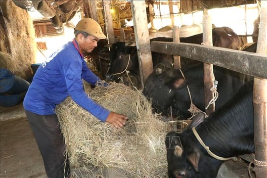 Mở rộng nguồn vốn hỗ trợ người dân