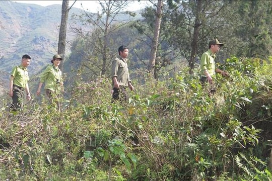 Nhiều cách làm hay phòng, chống cháy rừng mùa hanh khô