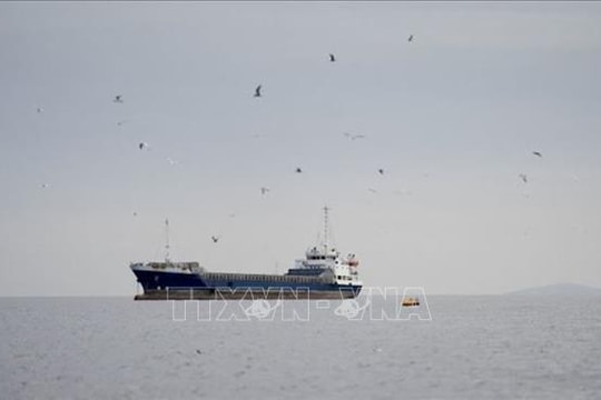 Điểm tin kinh tế thế giới nổi bật ngày 14/4/2026