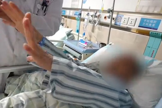 Sán 8 cm làm tổ trong não sau khi nhét đùi ếch sống vào răng