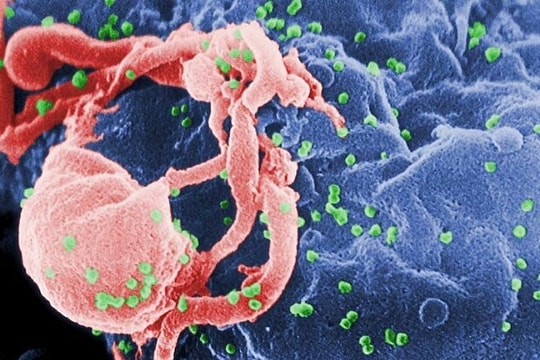 Bệnh nhân Na Uy khỏi cả HIV lẫn ung thư nhờ gene hiếm của anh trai