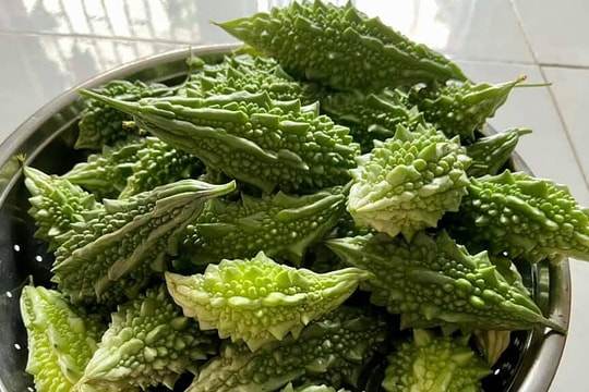 Ăn mướp đắng mỗi ngày có giúp làm mát gan không?