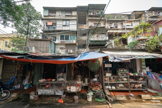 Hiện trạng Khu tập thể Thanh Xuân Bắc được đề xuất cải tạo