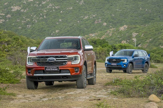 Thị phần xe gầm cao cỡ D quý I - Ford Everest áp đảo doanh số