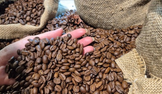 Giá cà phê hôm nay 14-4: Tăng trở lại, Mỹ tăng tốc nhập cà phê Việt