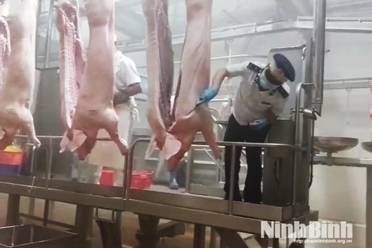 Chủ động phòng dịch từ khâu giết mổ động vật