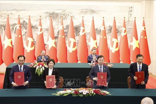 Ký kết Nghị định thư xuất khẩu bưởi, chanh sang Trung Quốc