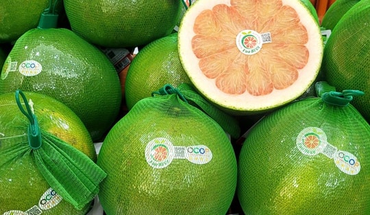 Thêm 2 loại trái cây phổ biến của Việt Nam được xuất chính ngạch sang Trung Quốc