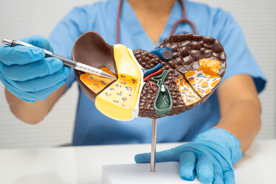 Nguyên nhân thật sự của gan nhiễm mỡ là gì?