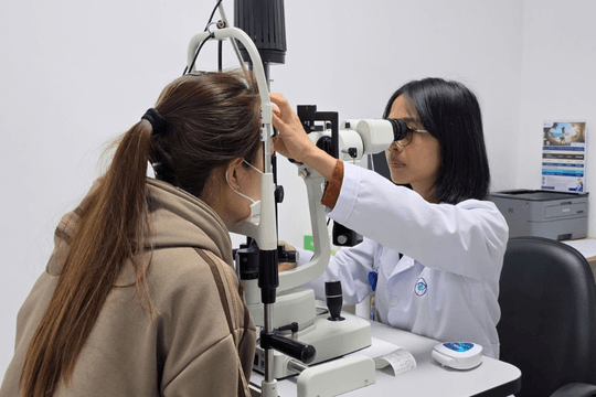 Hiểm họa mất thị lực do ong ruồi chích vào mắt khi đang đi đường