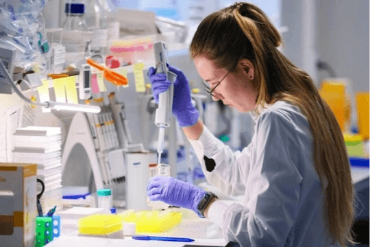 Các nhà khoa học Nga phát triển virus có thể tấn công chọn lọc tế bào ung thư