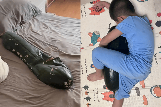 Trào lưu ôm bí đao ngủ tại Trung Quốc khiến nhiều người rơi vào cảnh dở khóc dở cười