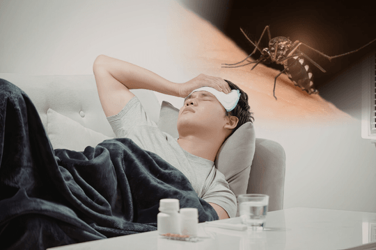 Chăm sóc người sốt xuất huyết tại nhà: 6 điều nên làm và 4 điều cần tránh