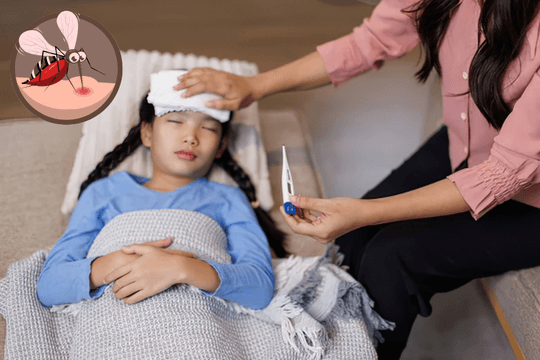 Sốt xuất huyết ở trẻ em: Những điều phụ huynh không thể bỏ sót