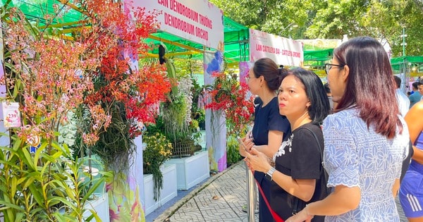 TP HCM: Lễ hội hoa lan lớn nhất năm 2025 có gì đặc sắc?
