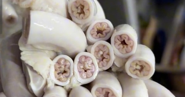 Vì sao cơ quan chức năng TP HCM chưa thể kết luận vụ lòng xe điếu?