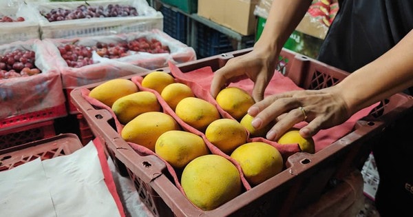 Xoài Trung Quốc tràn ngập chợ