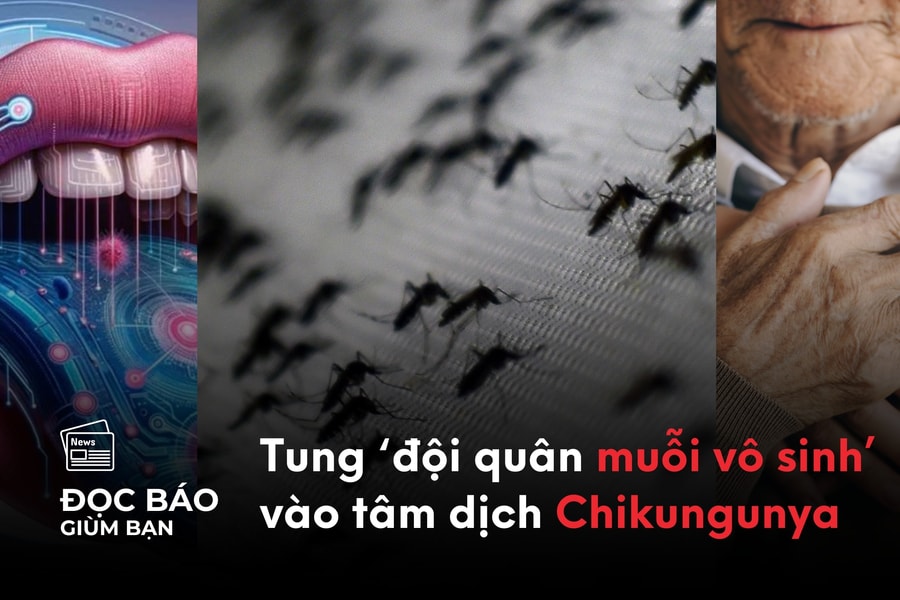 14/8/2025 | Trung Quốc tung 'đội quân muỗi vô sinh' giữa tâm dịch Chikungunya. Hé lộ nước có tỷ lệ người sống thọ nhất