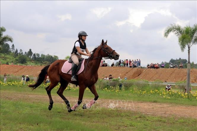 Giải cưỡi ngựa thể thao không chuyên lần đầu tiên ở Việt Nam
