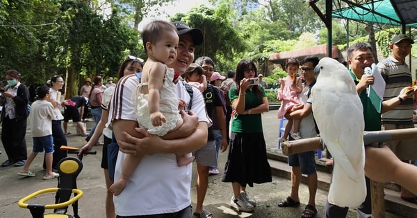 Những điều đặc biệt chỉ có ở Thảo Cầm Viên dịp Quốc khánh 2-9