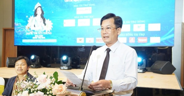 Sắc màu đại ngàn và biển xanh lần đầu hội tụ tại Quy Nhơn