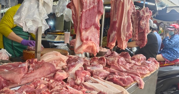 Giá heo hơi hôm nay 28-8: Miền Bắc tăng nhẹ