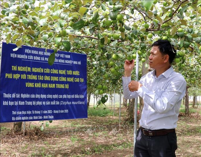 Nghị quyết 57-NQ/TW - Bước ngoặt mới cho phát triển nông nghiệp bền vững